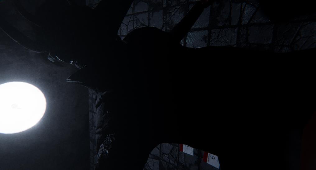 哀伤疯人院(Sorrow Asylum)_0