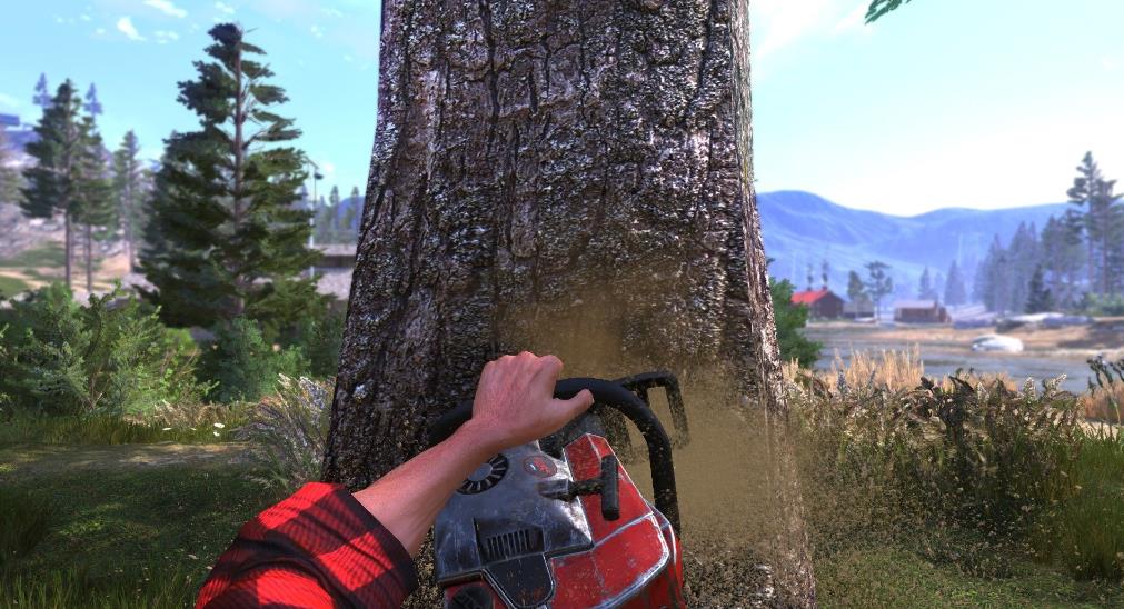 伐木工王朝(Lumberjack’s Dynasty)_2
