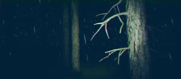 信号(Thesignal)_2