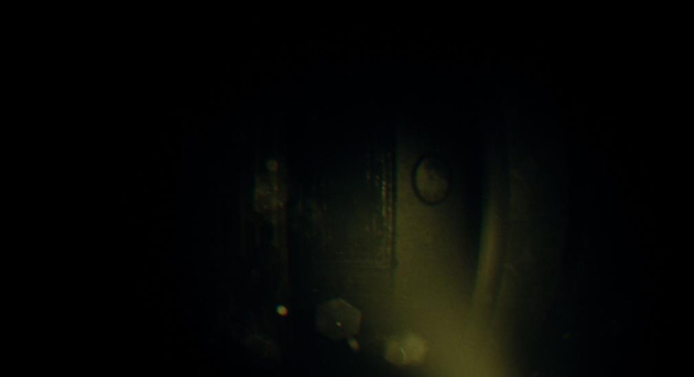 REC:镜头之外(REC: Beyond The Lens)_0
