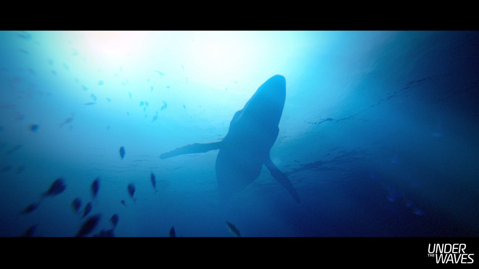 海底之下 Under The Waves_2