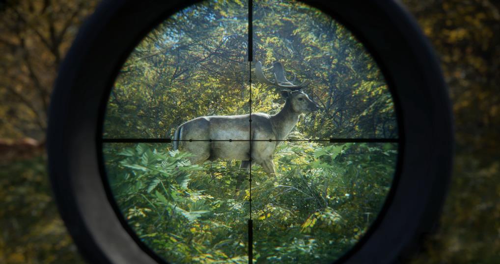 猎人:荒野的呼唤(theHunter: Call of the Wild)_1