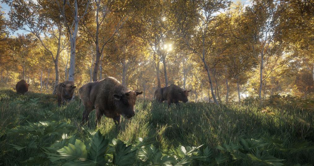 猎人:荒野的呼唤(theHunter: Call of the Wild)_0