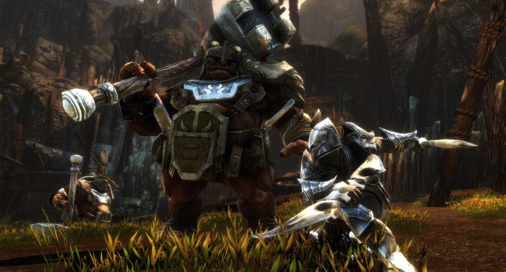 阿玛拉王国:惩罚 重制版(Kingdoms of Amalur: Re-Reckoning)_1