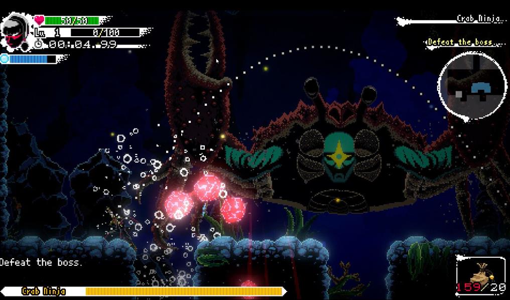 忍者或死亡:太阳之影(Ninja or Die: Shadow of the Sun)_1