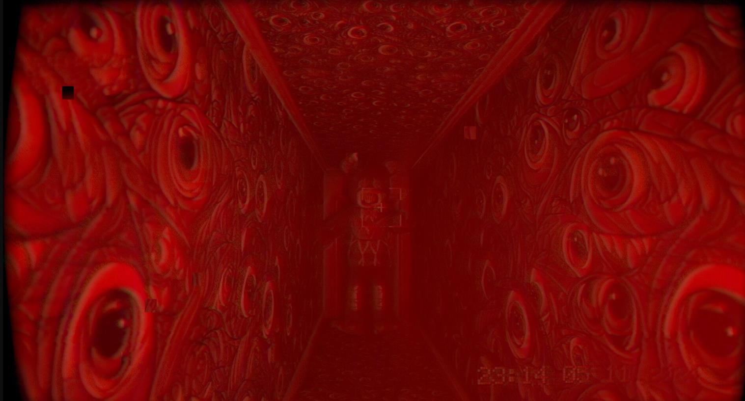 在录像中(In the footage)_1