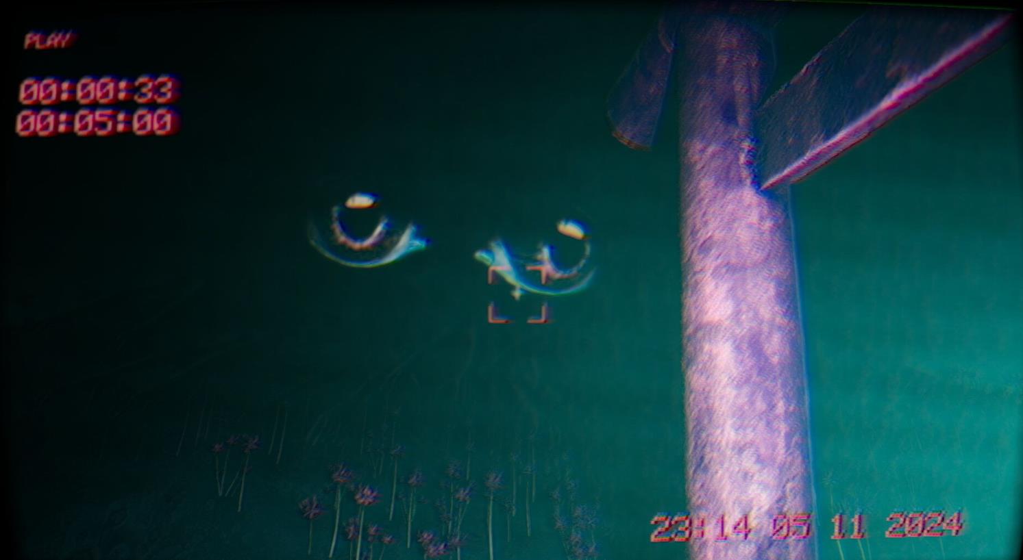 在录像中(In the footage)_0