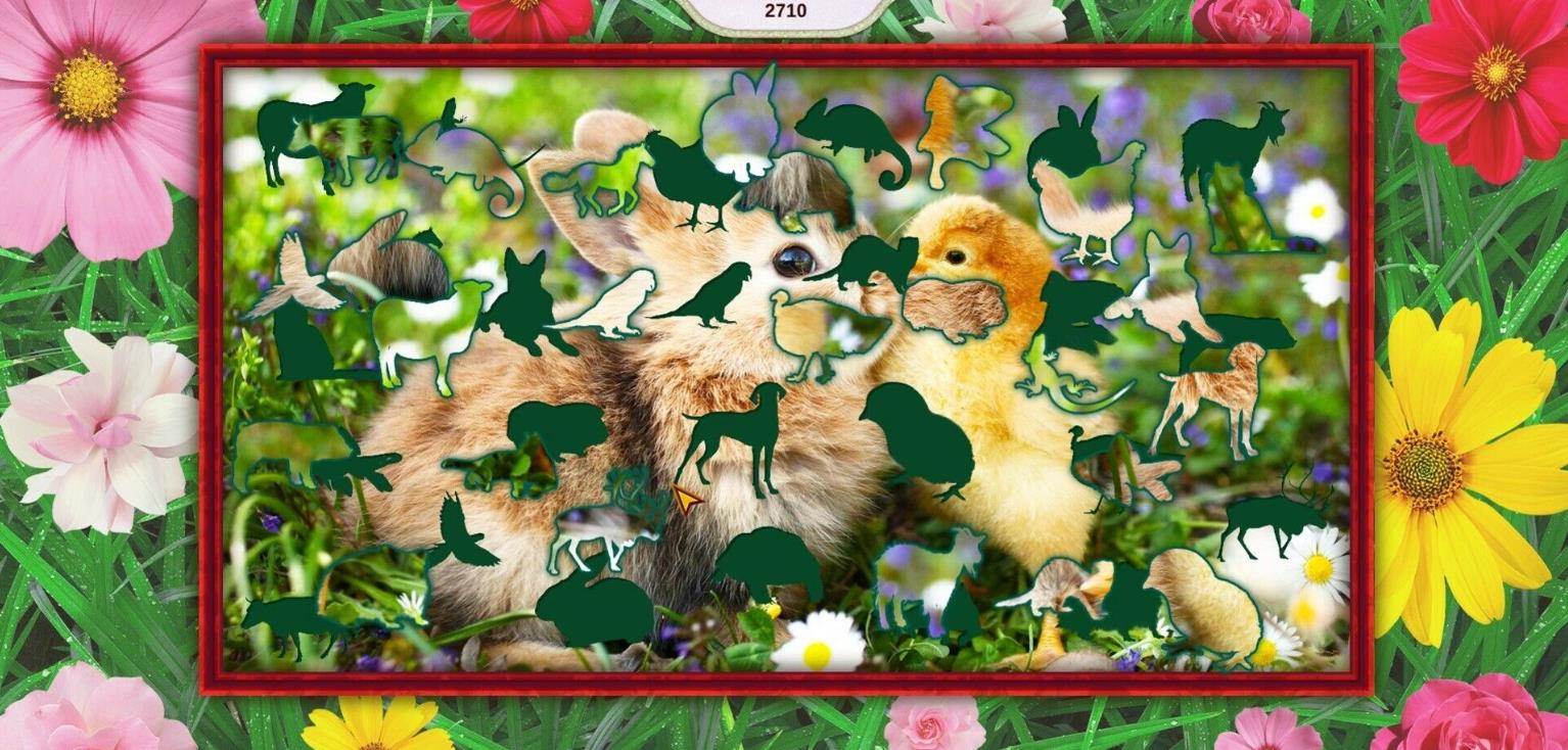 我可爱的宠物2(My Lovely Pets 2)_1