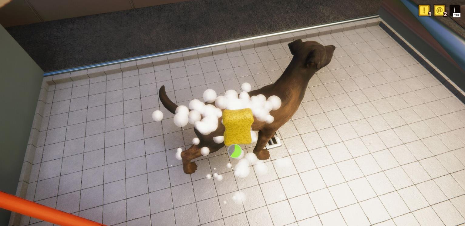 动物收容所(Animal Shelter)_0