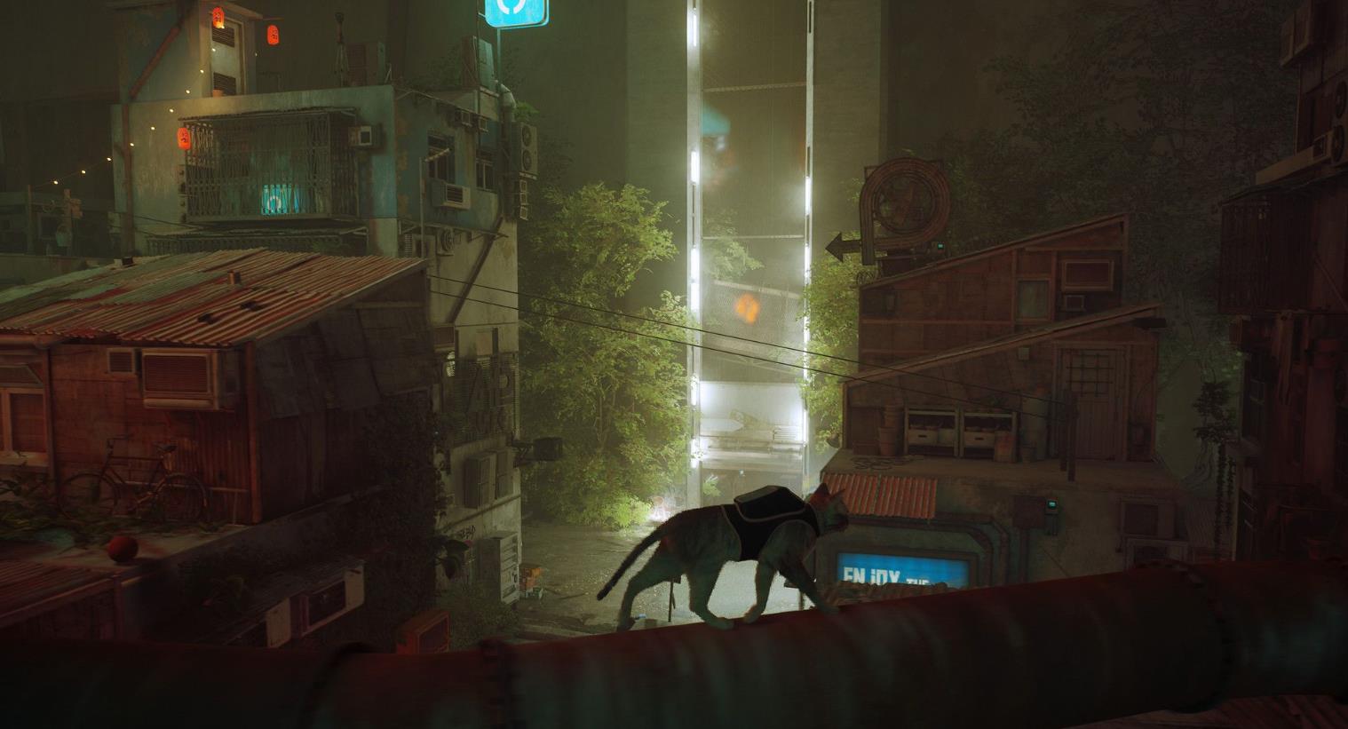 迷失(Stray)_1