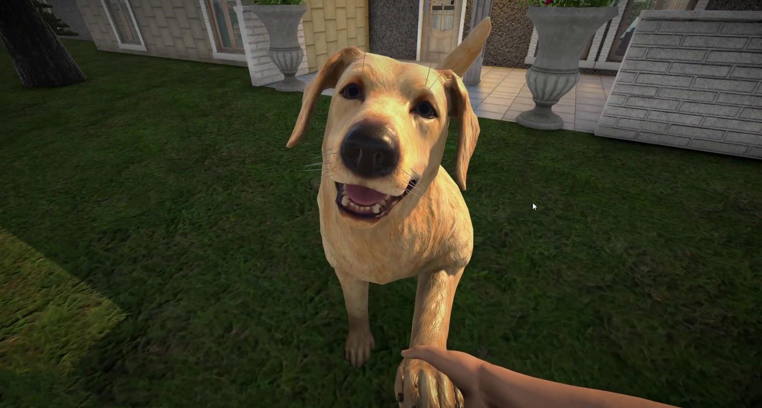 宠物旅馆(Pets Hotel)_0