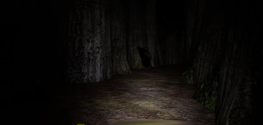 迷宫:迷失在黎明前(Labyrinthian: Lost ‘Til Dawn)_1