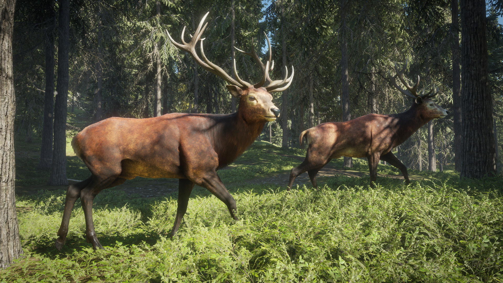 猎人:野性的呼唤 theHunter: Call of the Wild_1