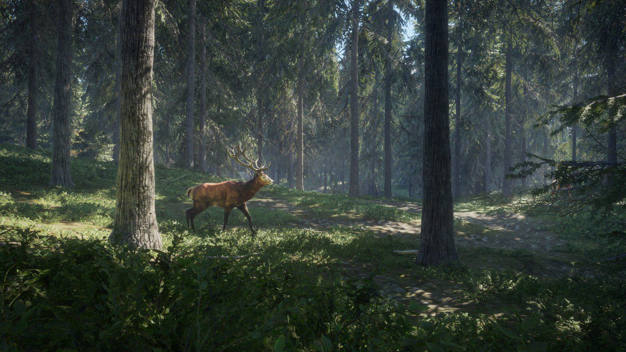 猎人:野性的呼唤 the Hunter: Call of the Wild_2