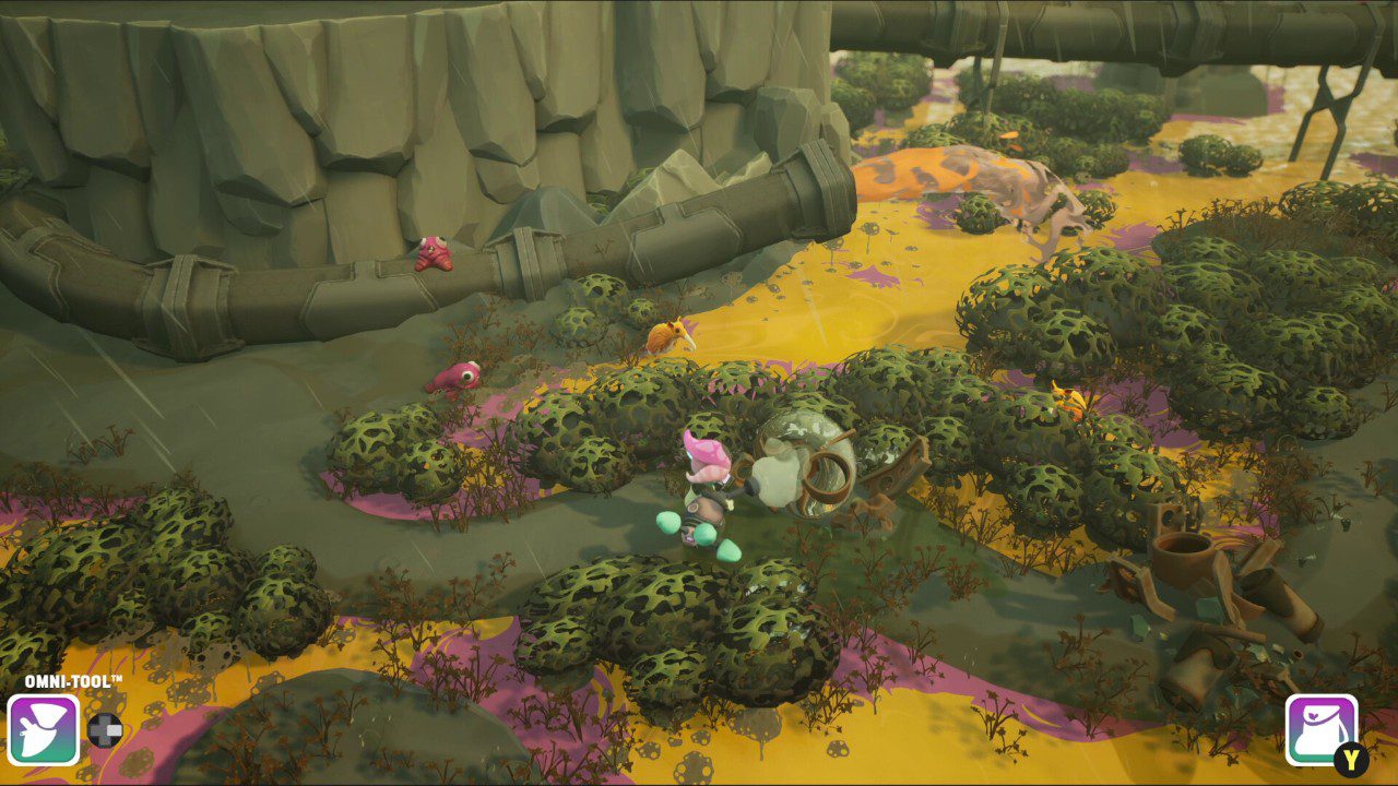 远花 Distant Bloom_1