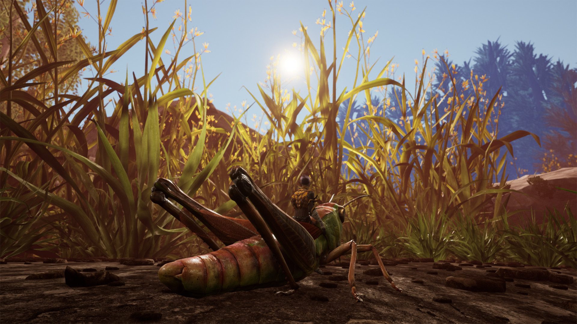 小小世界:野外求生 Smalland: Survive the Wilds_0