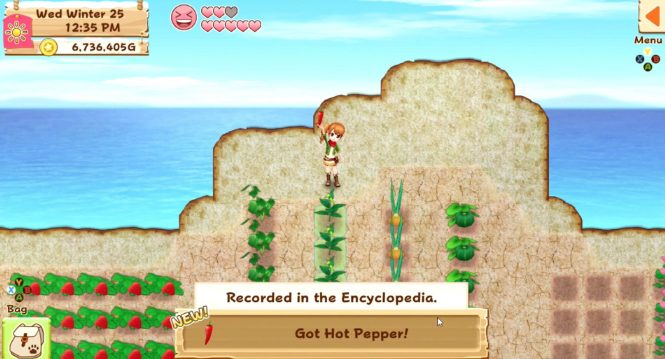 牧场物语:希望之光 特别版.Harvest Moon: Light of Hope Special Edition_1