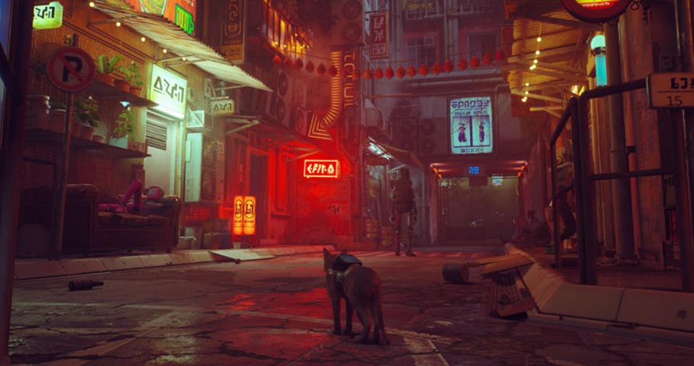 流浪猫.Stray_1