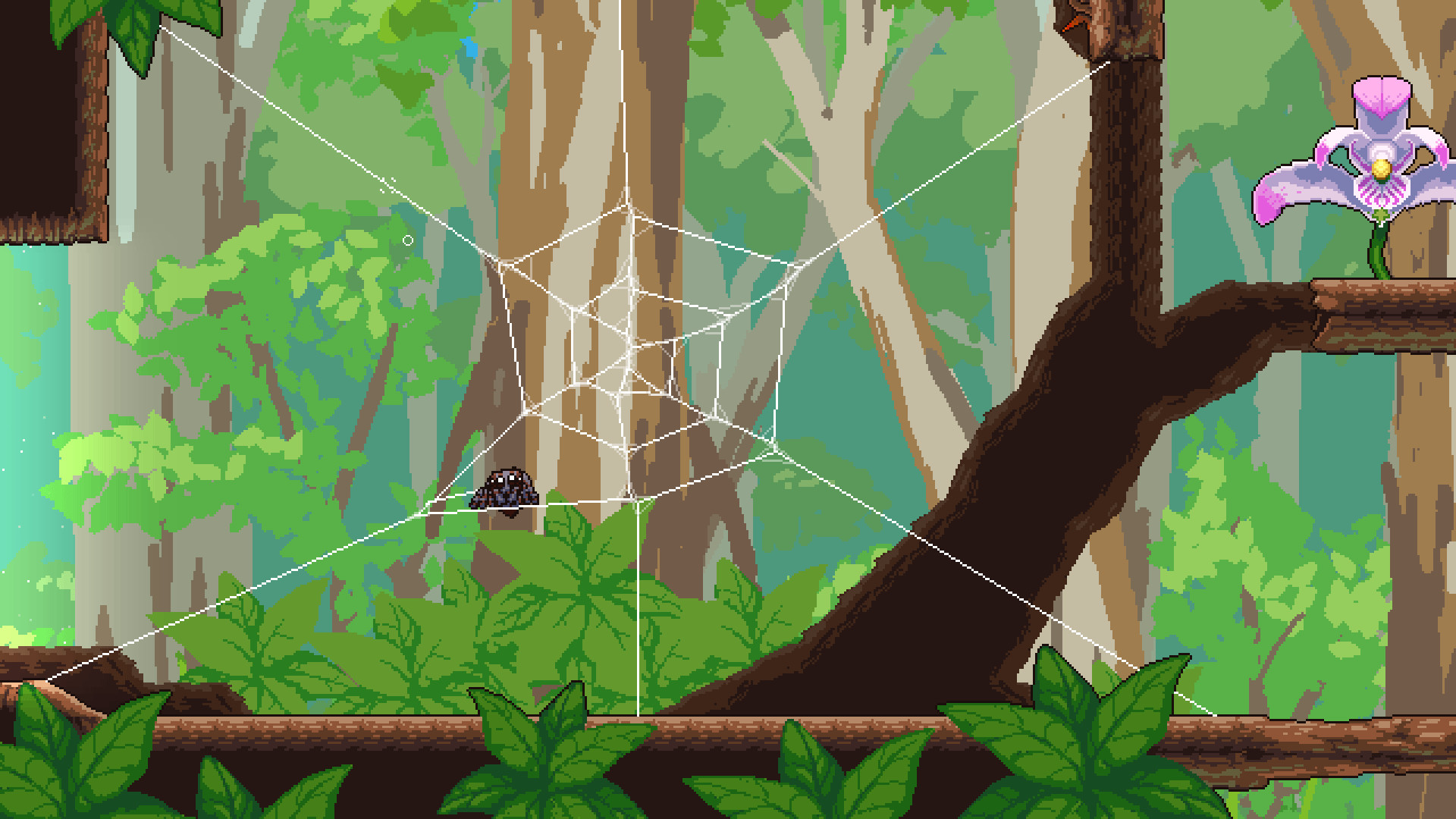 勇网直前.Webbed_1