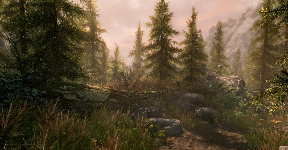 上古卷轴5:天际 – 十周年纪念版.The Elder Scrolls V: Skyrim Anniversary Edition_0