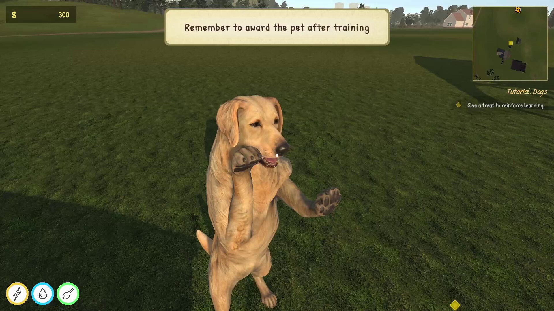 动物训导师模拟器 Animal Trainer Simulator_2