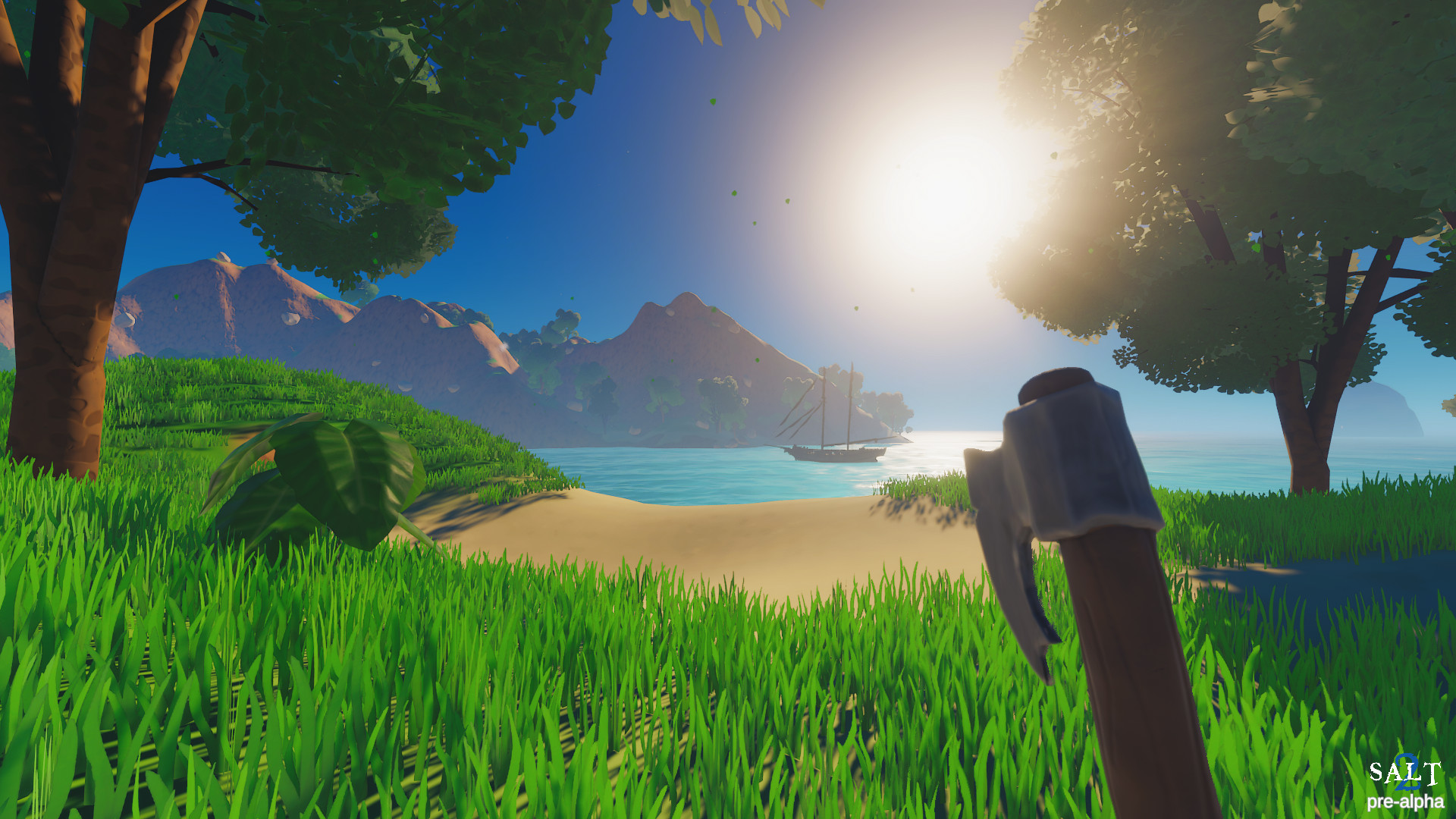 盐2:黄金海岸 Salt 2: Shores of Gold_2