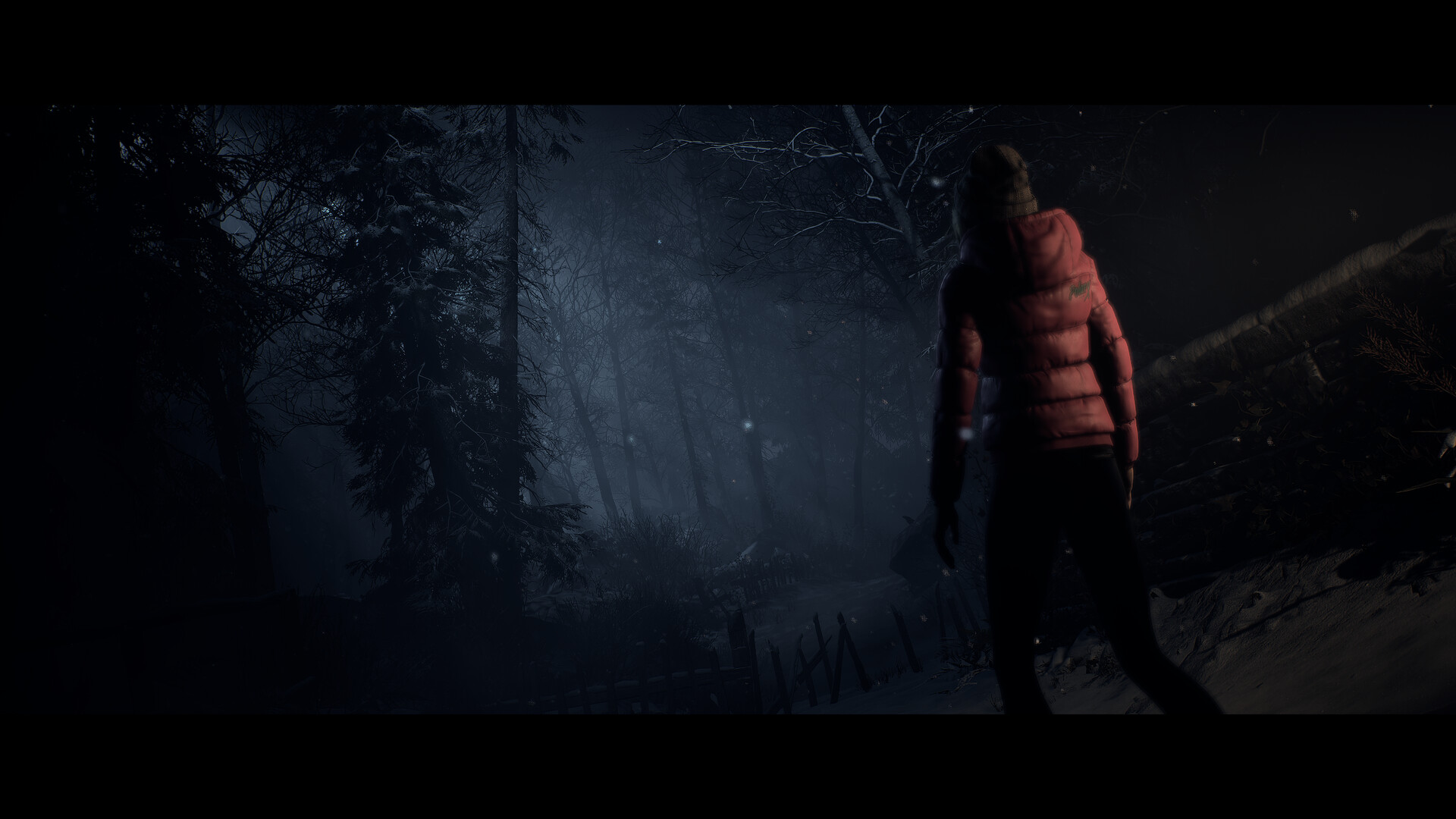 直到黎明:重制版 Until Dawn_1