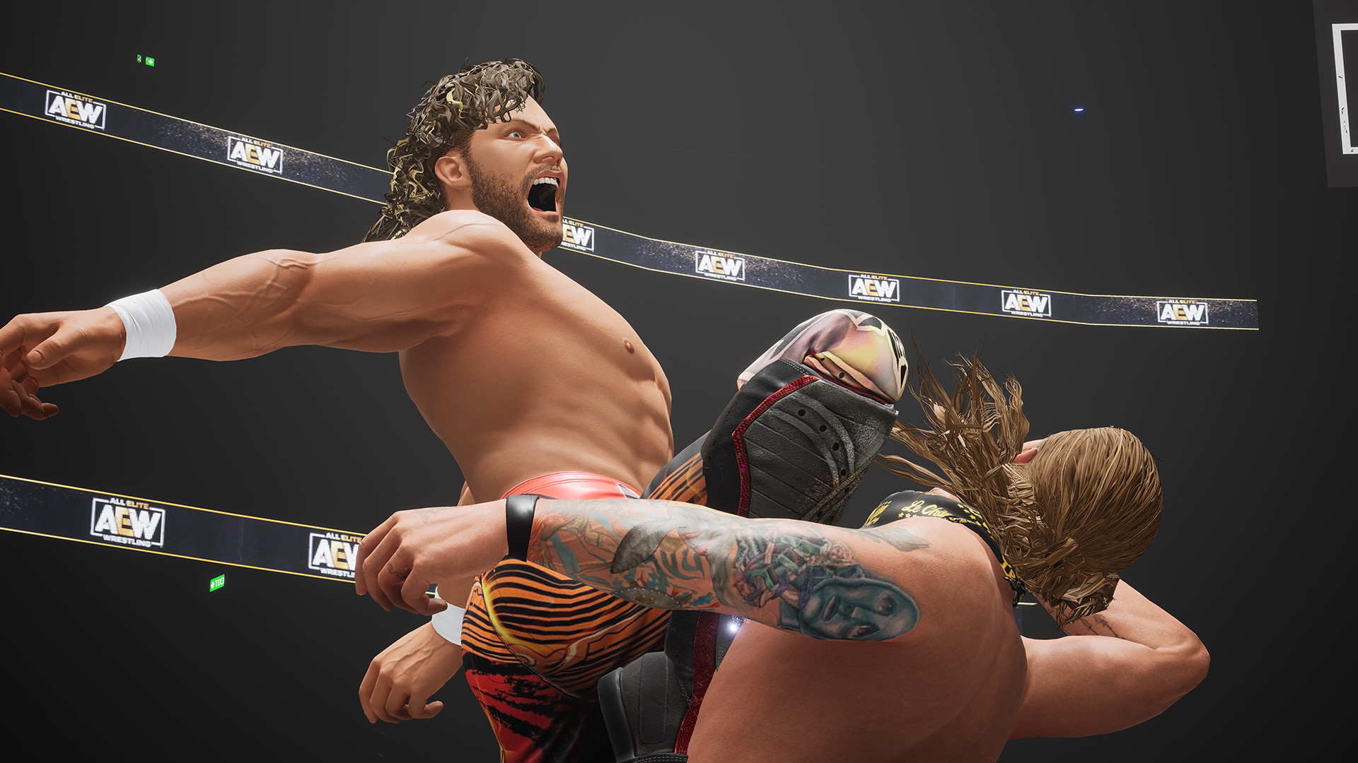 全精英摔角:永远的战斗 AEW: Fight Forever_0