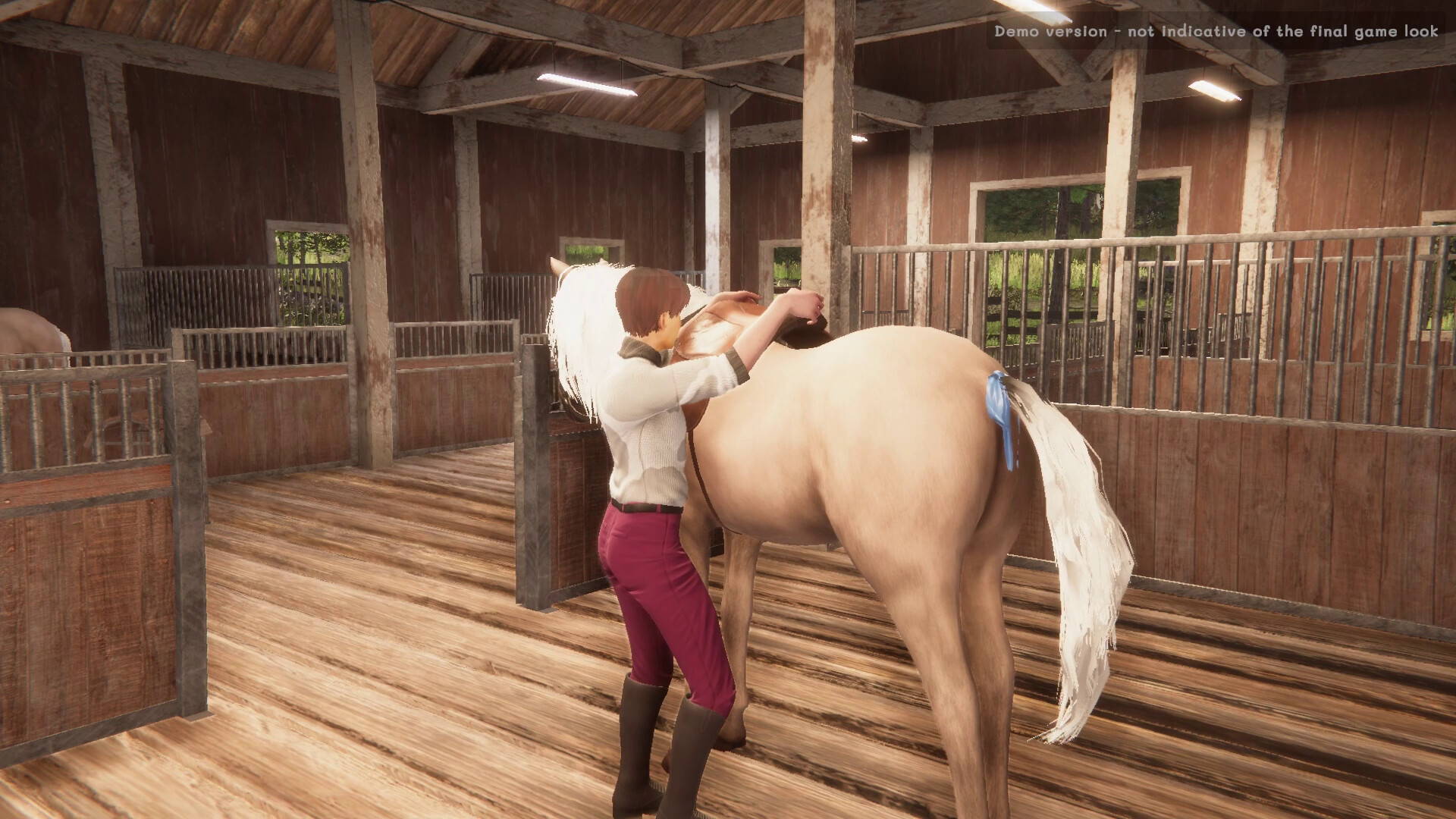 我的马:精神纽带 My Horse: Bonded Spirits_0