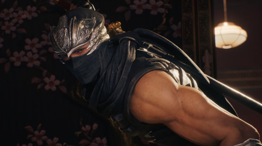 PC《忍者龙剑传2:黑之章/NINJA GAIDEN 2 Black》下载v1.0.6.0_1