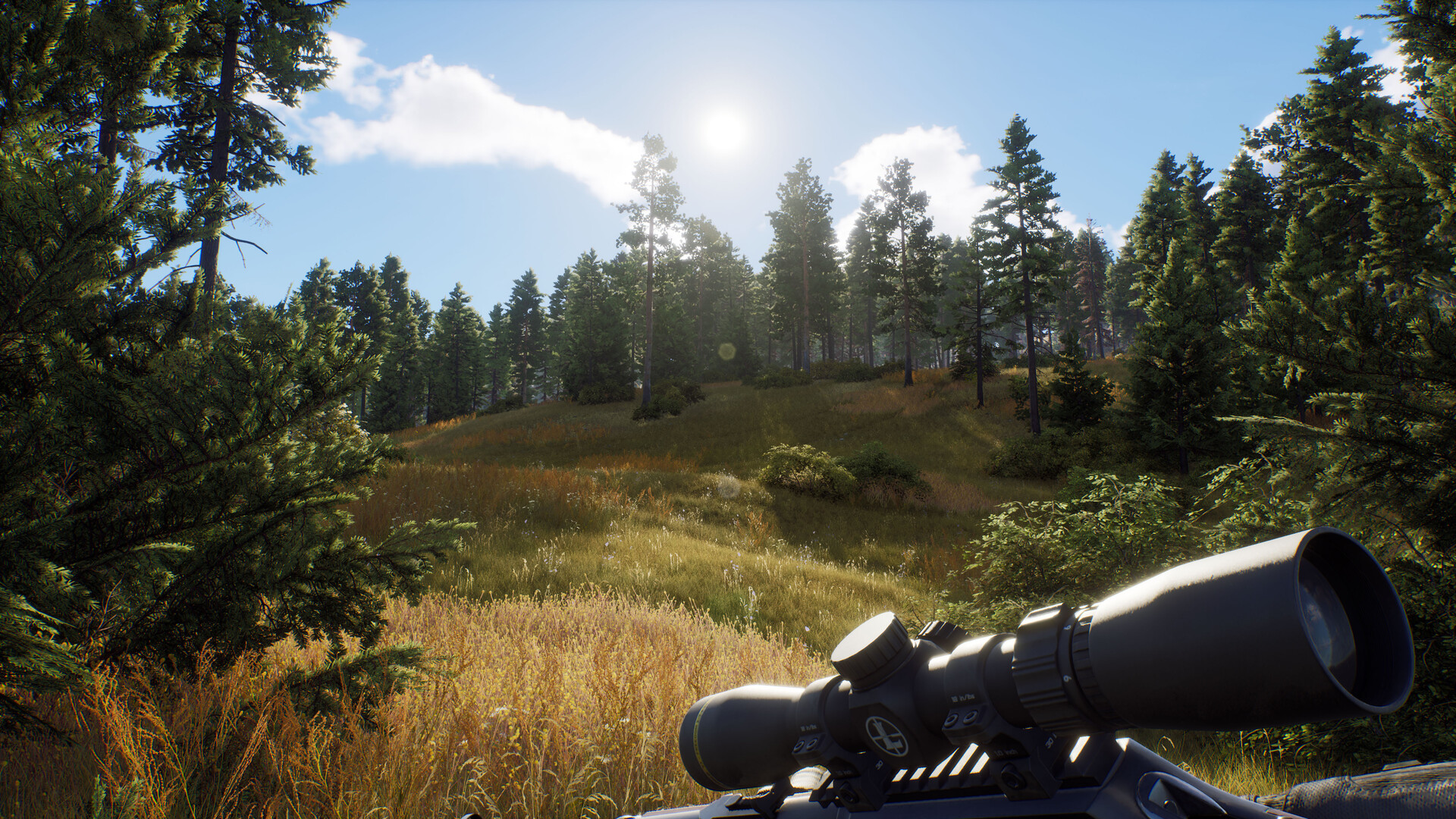 PC游戏《狩猎之道 Way of the Hunter》中文v1.26.4_0