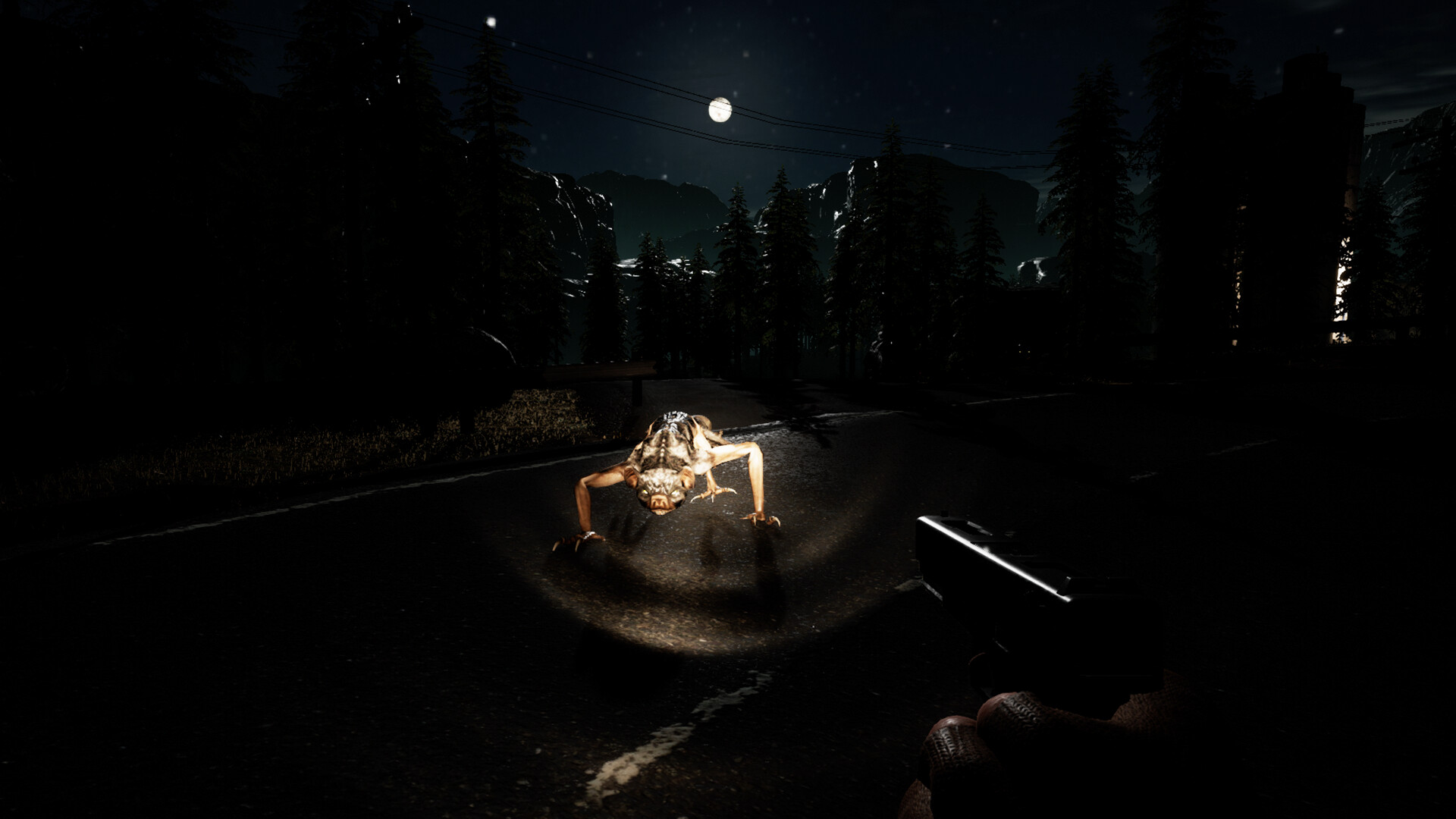 PC游戏《无政府状态: 沃尔夫定律 Anarchy: Wolf’s law》中文v0.9.978.1712_0