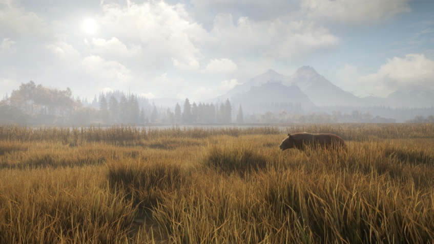 PC游戏《猎人:荒野的召唤 theHunter: Call of the Wild》中文v2903389_0