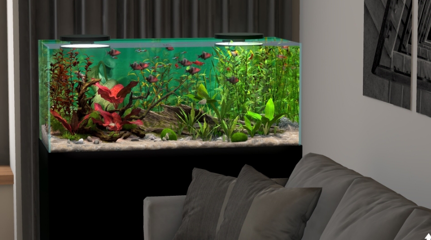 PC游戏《玻璃背后:水族馆模拟器 Behind Glass: Aquarium Simulator》中文v1.1_0