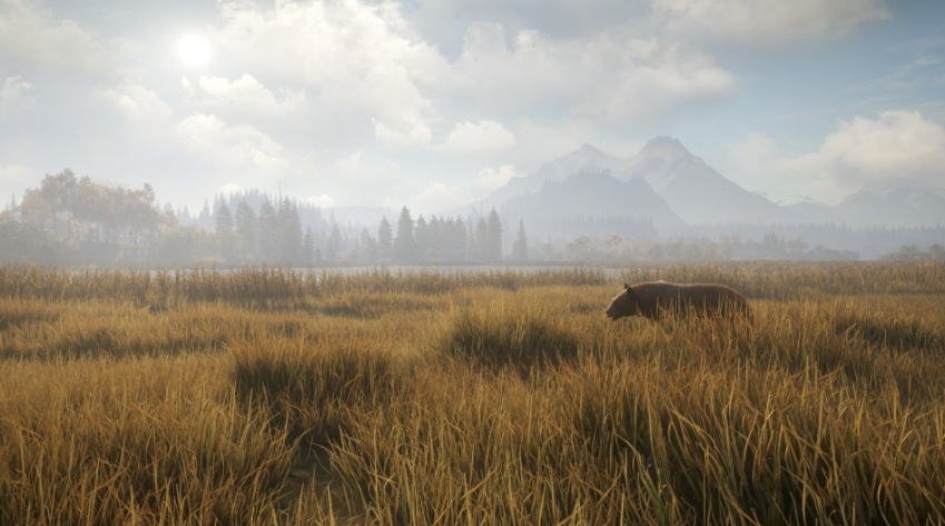 PC游戏《猎人:荒野的召唤 theHunter: Call of the Wild》中文v2989309_0