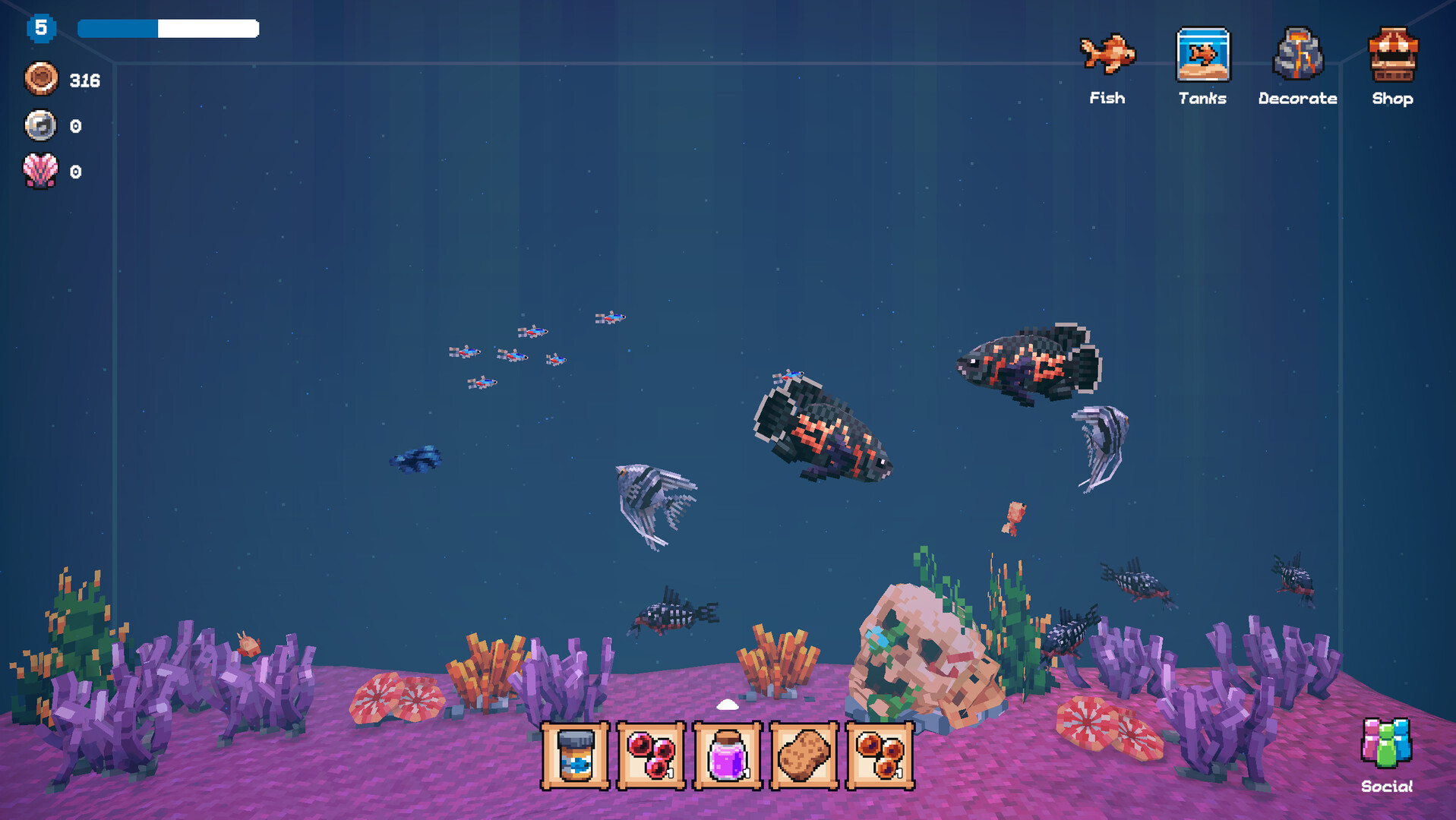 PC游戏《全球鱼友俱乐部:放置好时光/Tiny Aquarium: Social Fishkeeping》中文v1.0.0下载_0