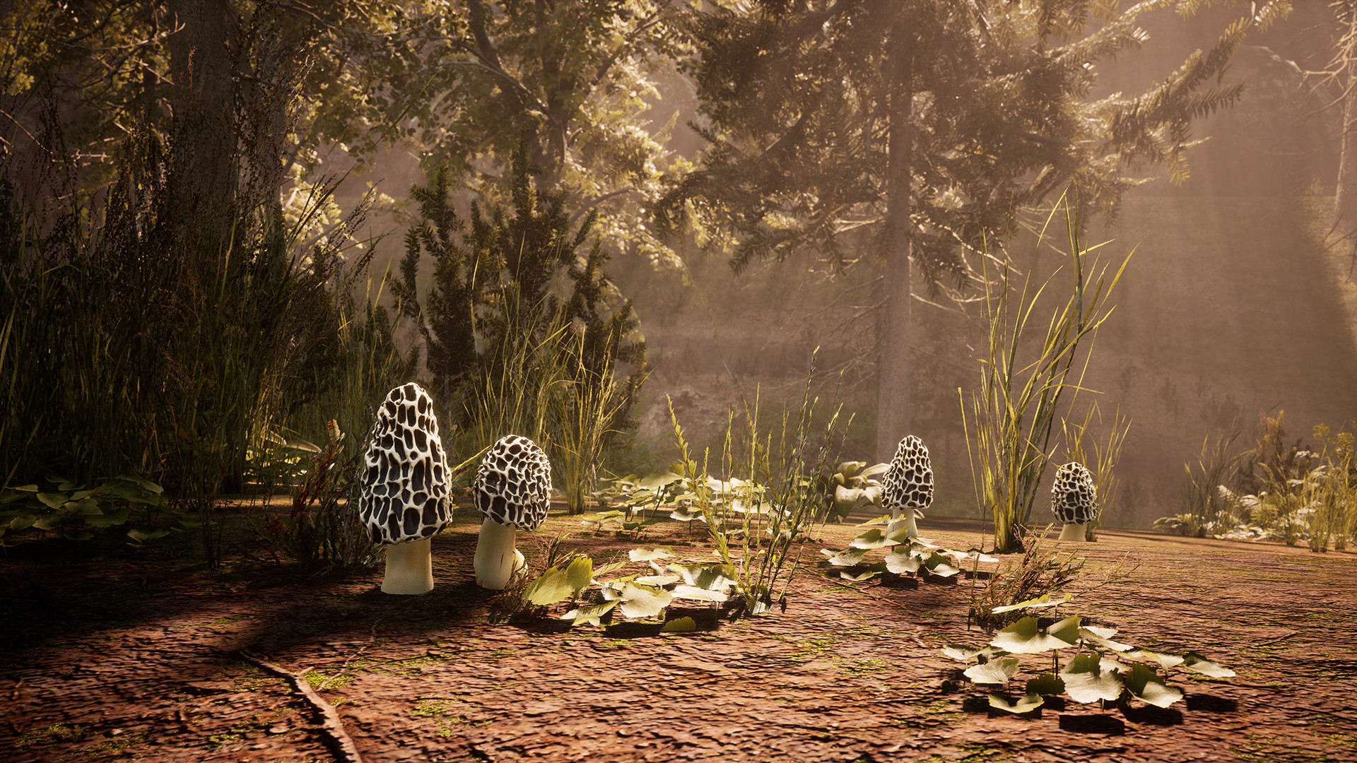 PC游戏《羊肚菌:狩猎/Morels: The Hunt》中文+Build.12226474下载_0