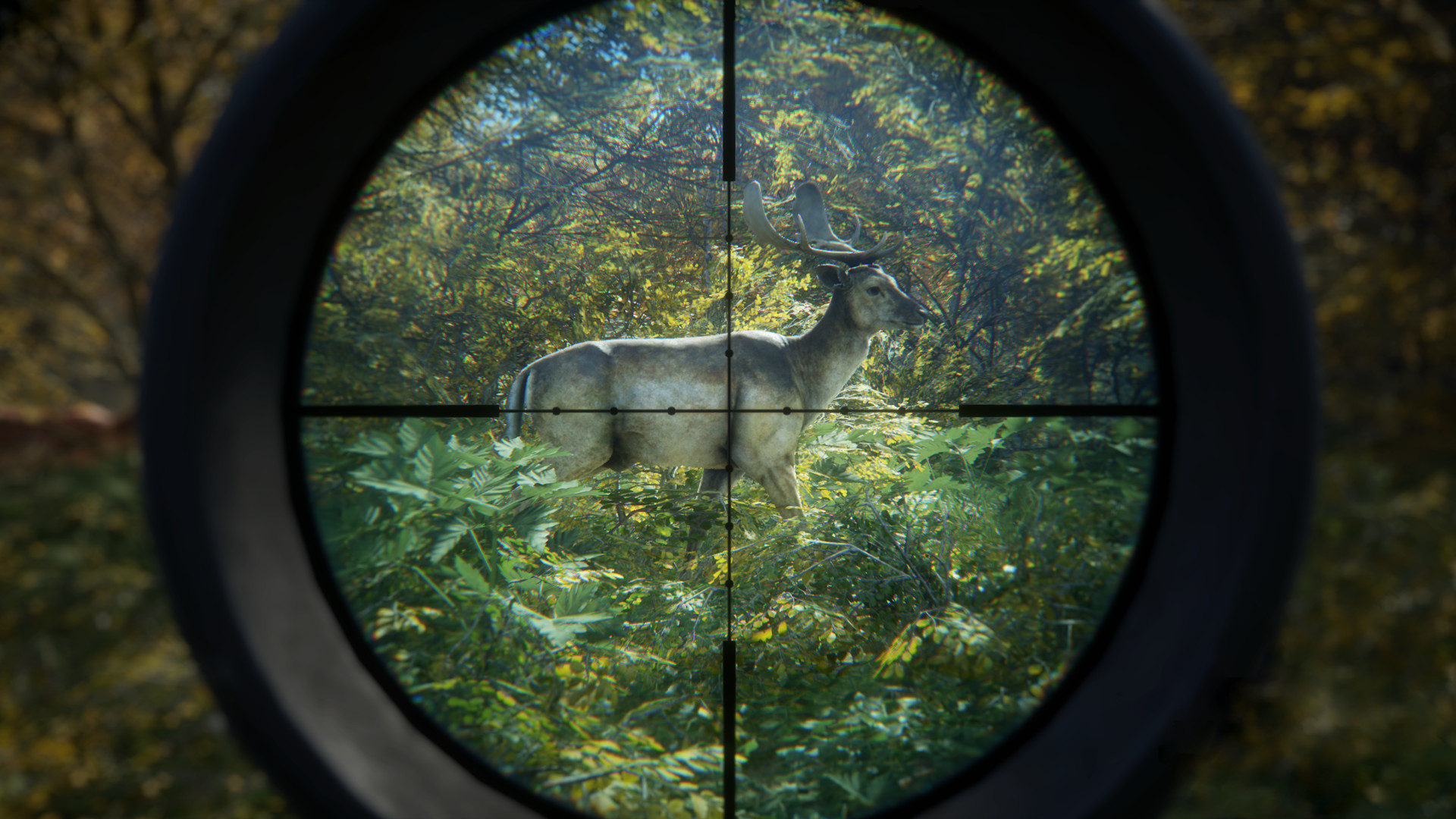 PC游戏《猎人:荒野的召唤/theHunter: Call of the Wild》中文v3028143下载_0