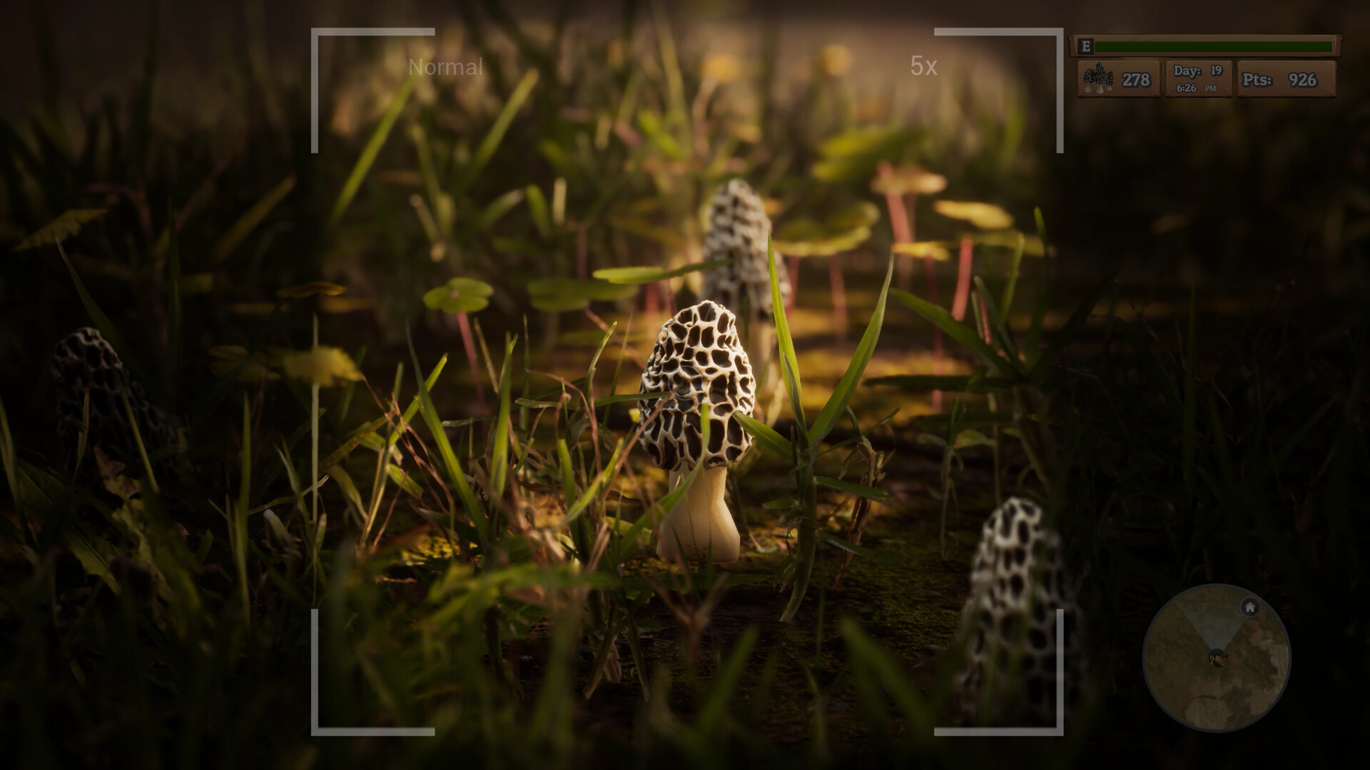 PC游戏《羊肚菌:狩猎/Morels: The Hunt》中文+Build.15781103下载_1