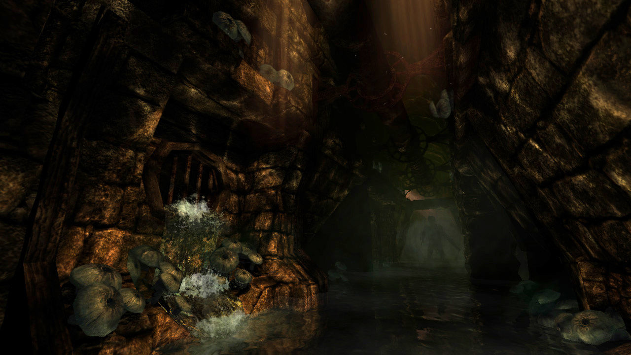 PC游戏《失忆症:黑暗后裔/Amnesia: The Dark Descent》中文v1.41b下载_1