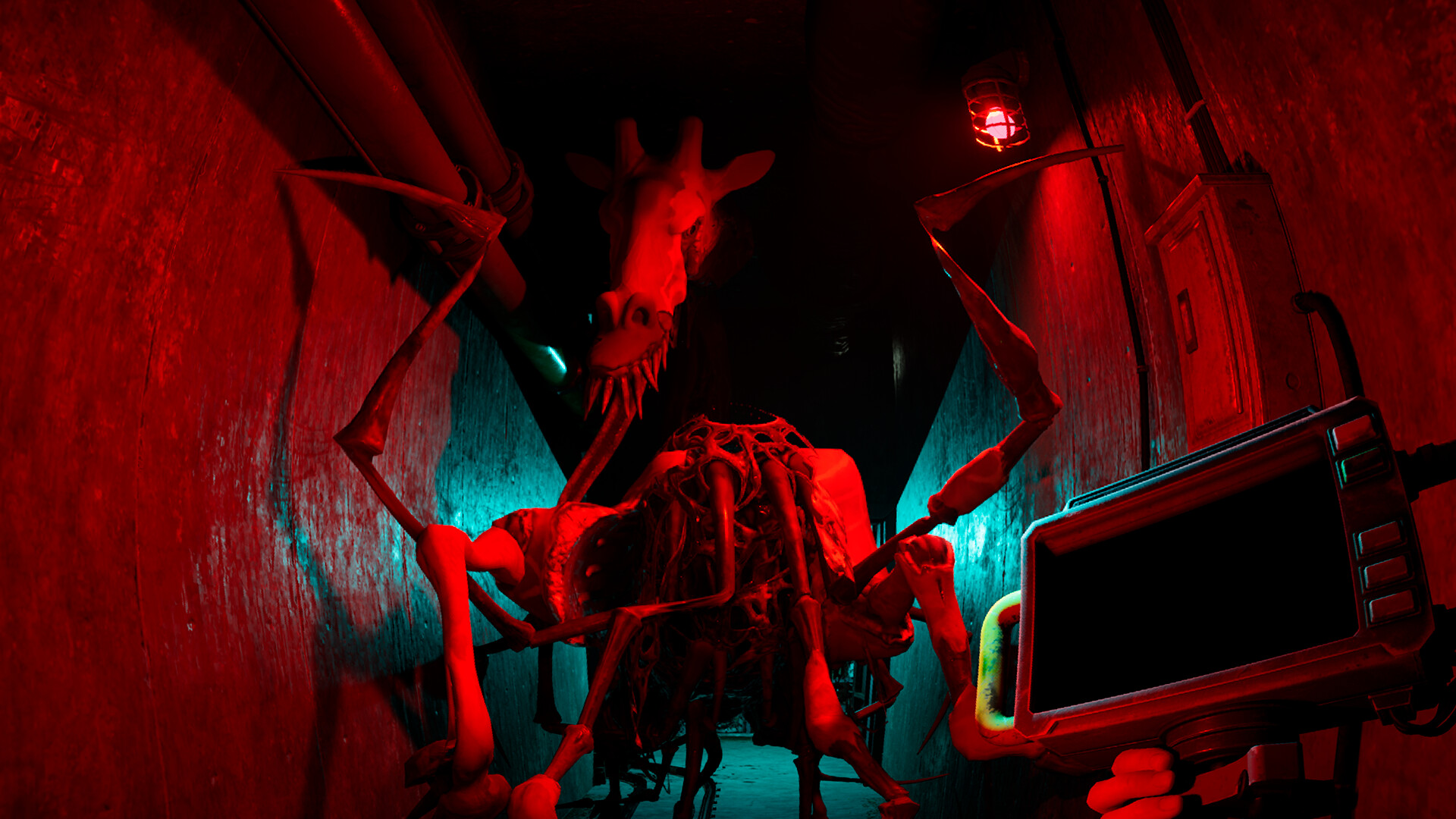 PC游戏《癫狂动物园/Zoochosis》中文v1.6.7下载_1