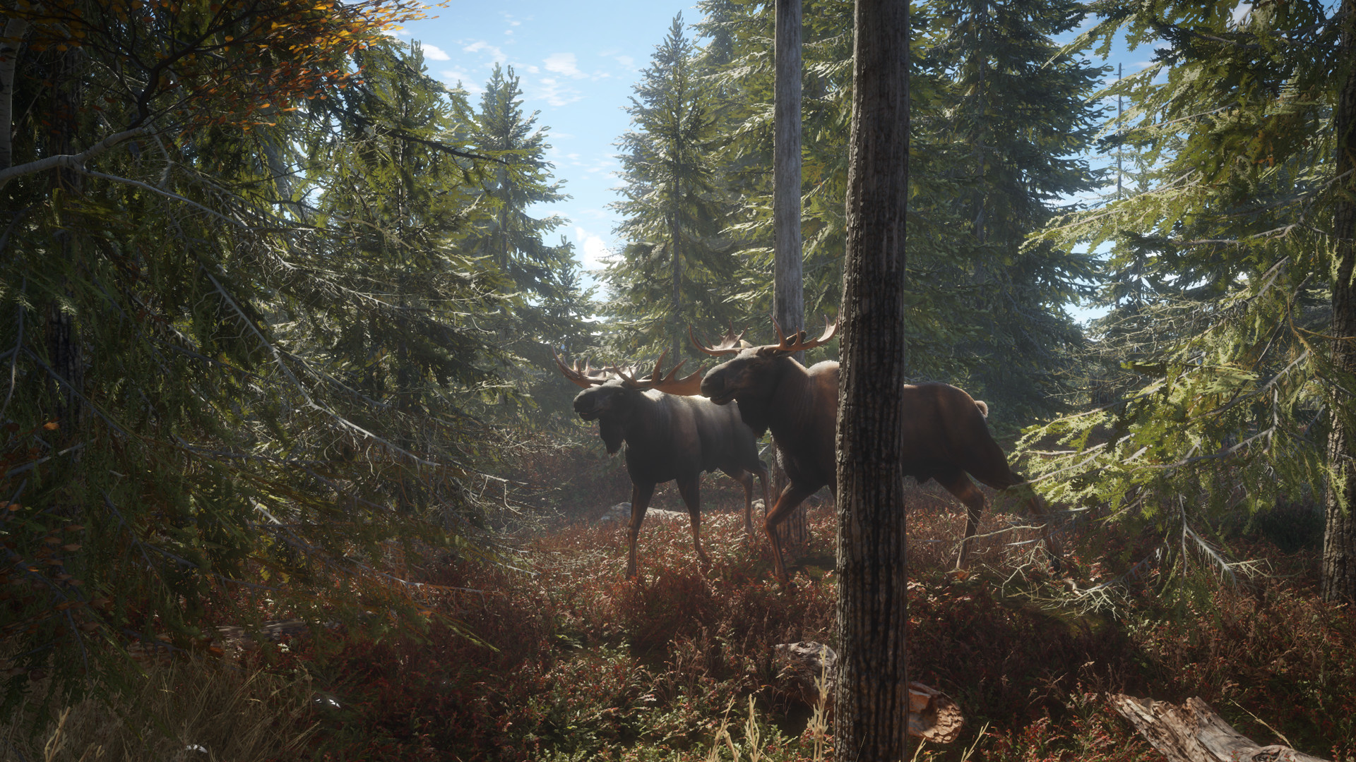《猎人:荒野的召唤/theHunter: Call of the Wild》PC中文版下载-含v3054373_1