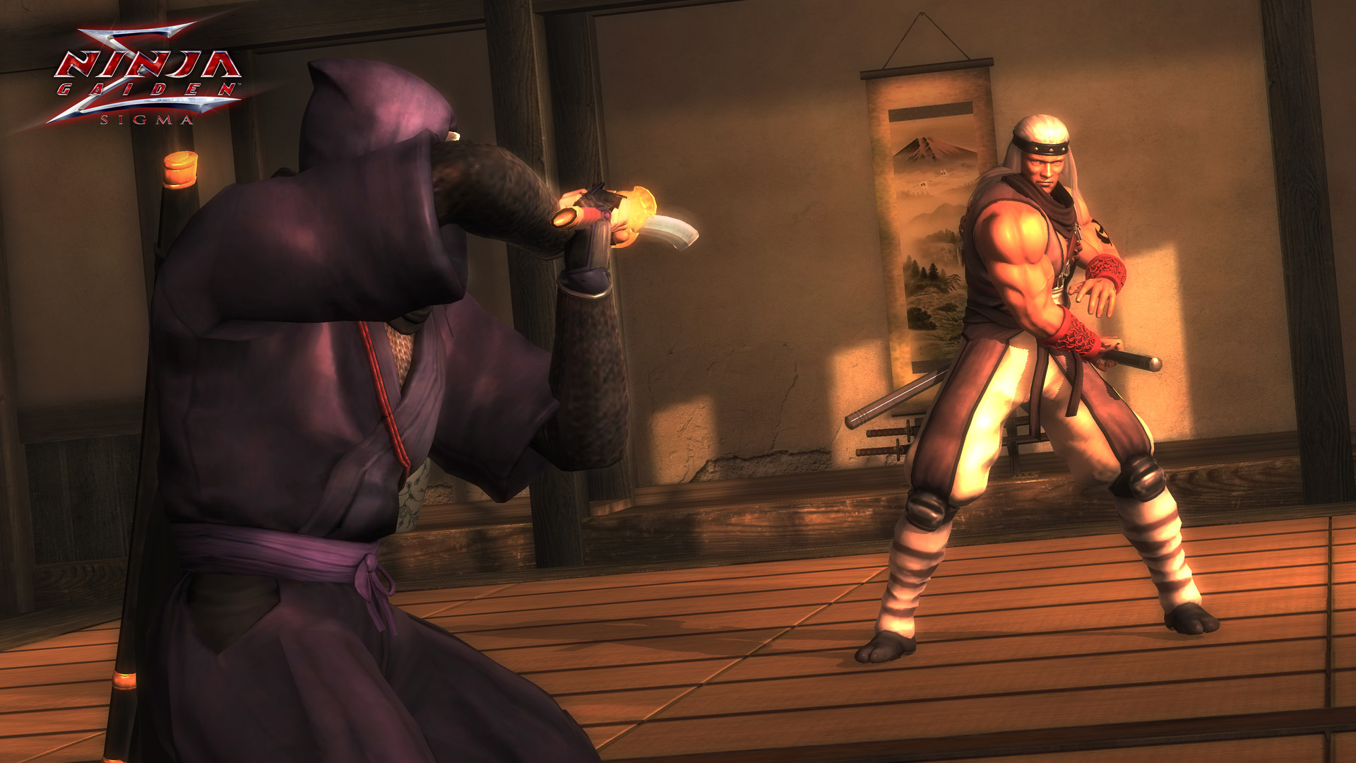 《忍者龙剑传:大师合集/NINJA GAIDEN: Master Collection》PC中文版下载-含更新v1.01-1号升级档_1