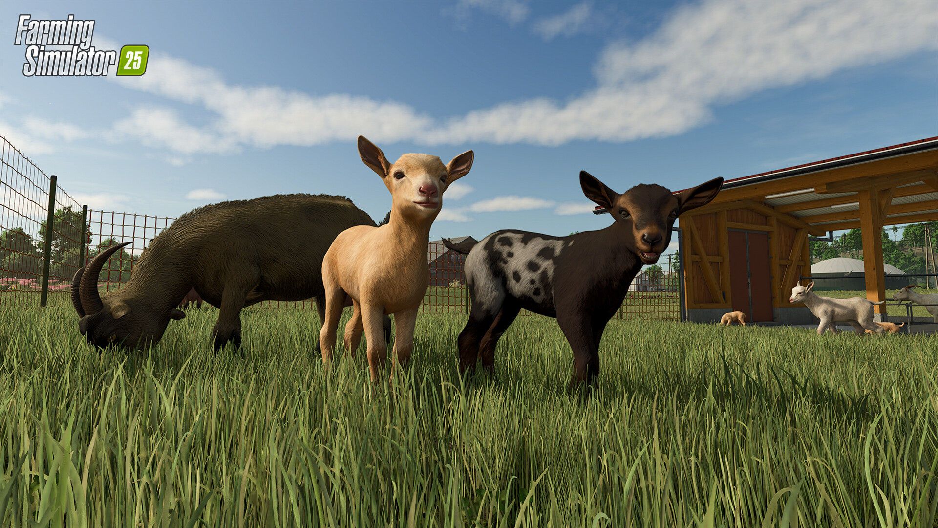 《模拟农场25/Farming Simulator 25》PC中文版下载-含v20250812_0
