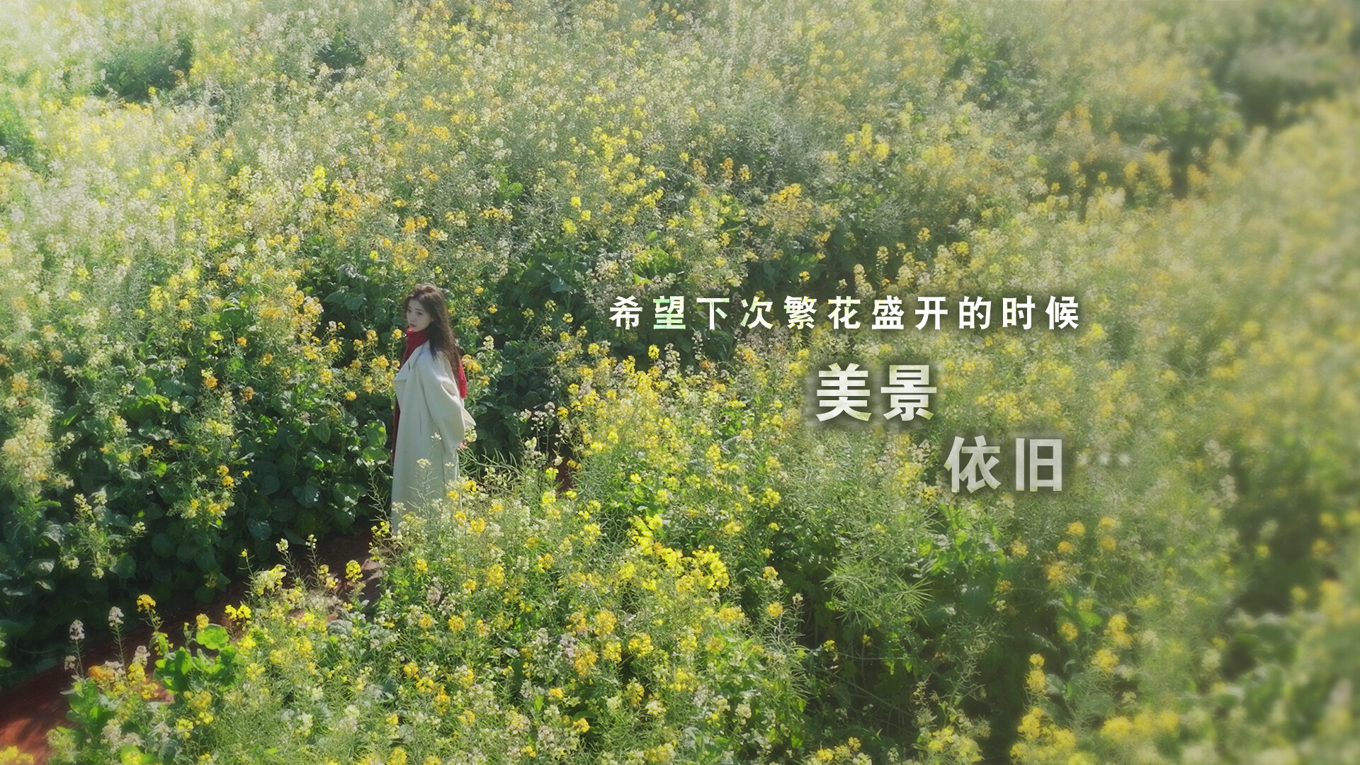 《这个是真的喜欢!/I’ve Fallen For You!》PC中文版下载_3