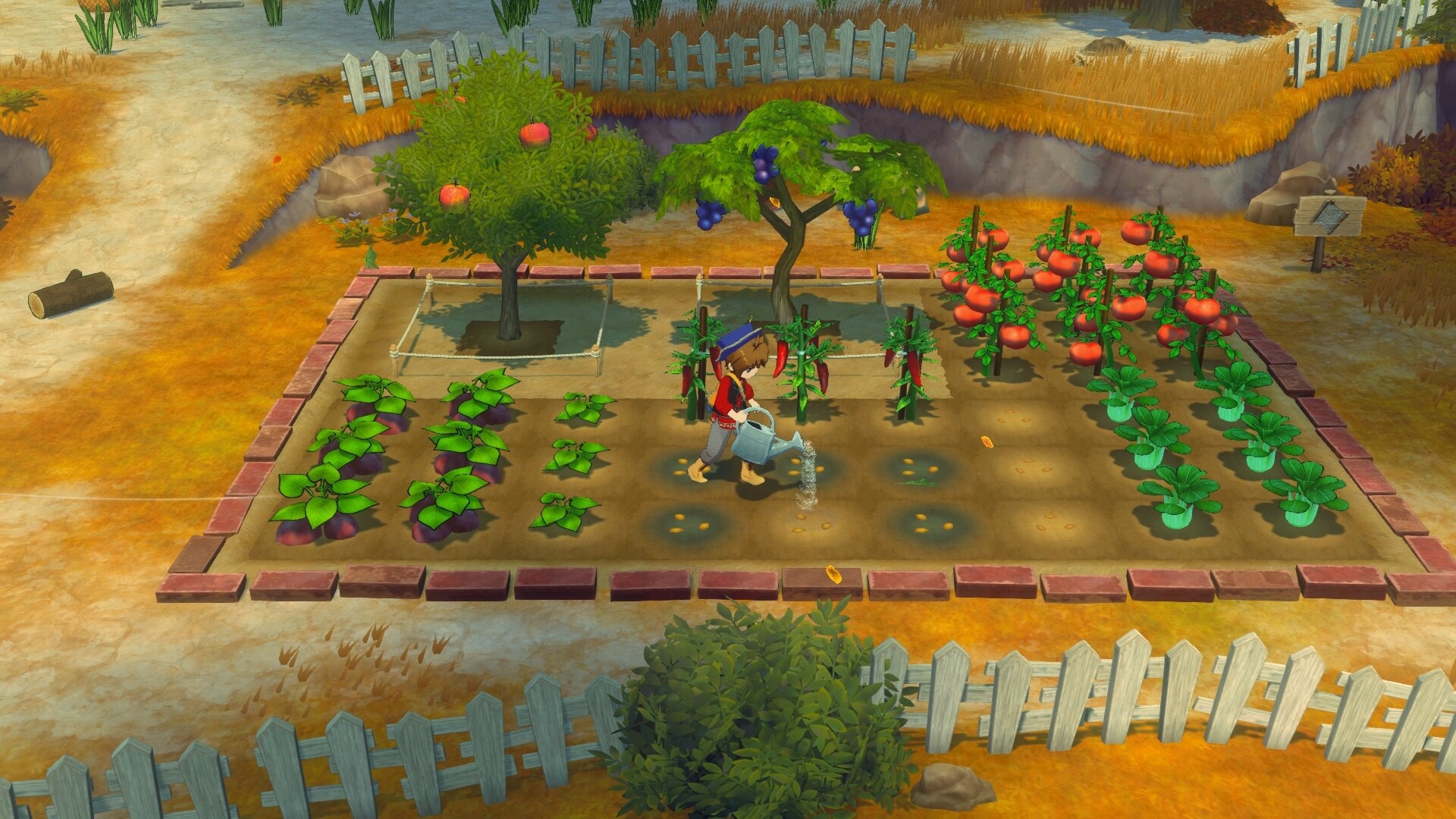 《牧场物语 来吧!风之繁华集市/STORY OF SEASONS: Grand Bazaar》PC中文版下载-含v1.0.4_1
