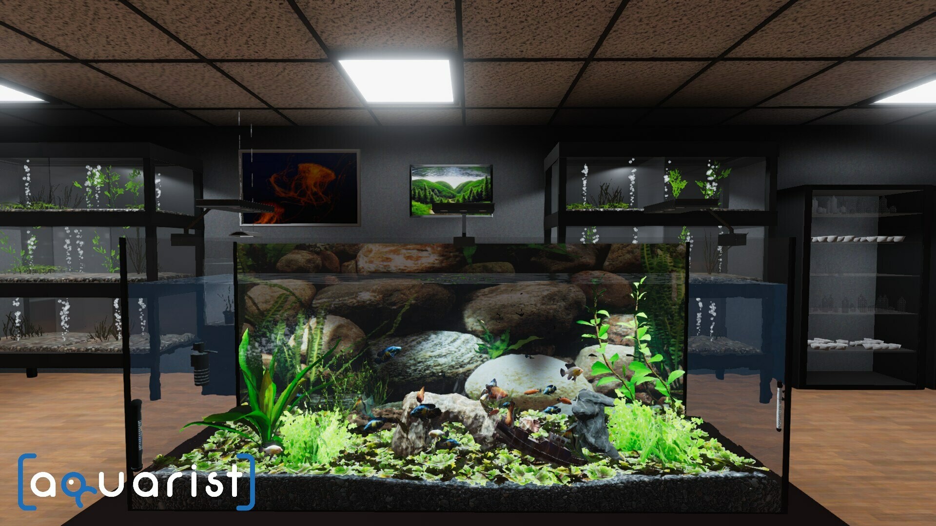 《Aquarist – 建造水族馆,养鱼,发展你的事业!》PC中文版下载-含v20250915_1