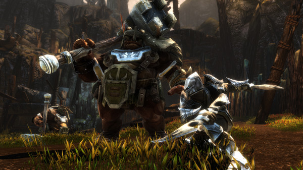 《阿玛拉王国:惩罚 重置版 Kingdoms of Amalur: Re-Reckoning》Switch中文版NSZ下载 – 含1.0.7补丁+1DLC_2