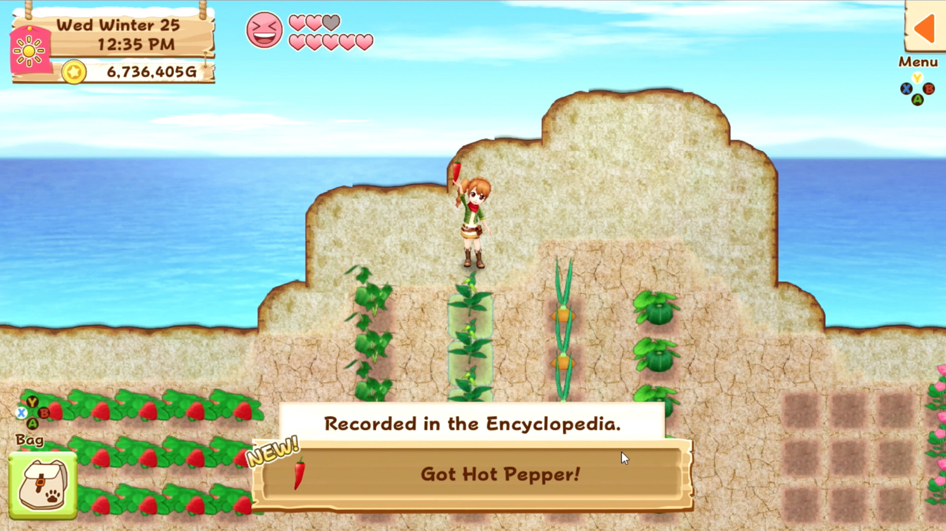 《牧场物语:希望之光特别版 Harvest Moon: Light of Hope》Switch英文版NSP下载 – 含1.0.1补丁_1