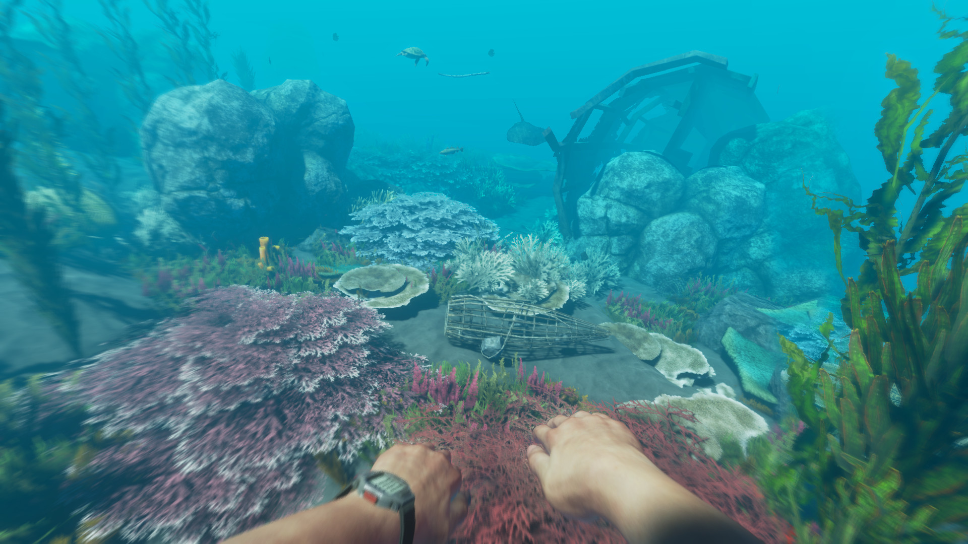 《深海搁浅/Stranded Deep》PC中文版下载-含v1.0.38.0.29_1